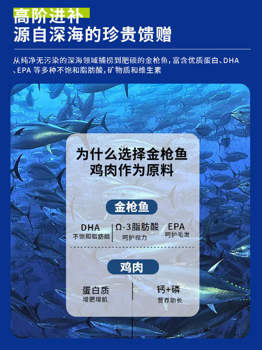 心选丨喵铮铮天价鱼肉鱼油主食猫条 15g*101根 美毛护发0胶0诱食湿粮 商品图2