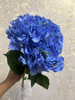 【国产绣球】海蓝色  单枝 商品缩略图5