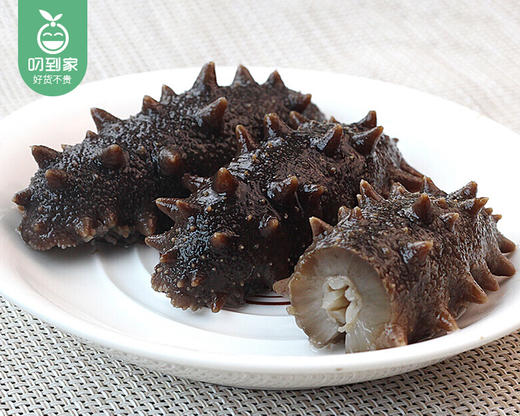 【第2份半价】（3年+）辽宁鲜食海参（配礼袋）/1盒（45-50g*10只）生产日期：26年4月 商品图2