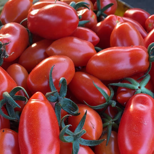周五配送！房山基地无公害种植，花生柿子🍅，脆甜多汁，柿子味浓！一份3斤 商品图0