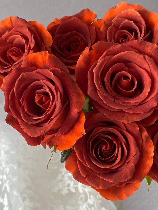 杏仁酒玫瑰【内心充盈者，独行也如众】简小姐精选复古橘色单头玫瑰 杏仁酒 2件包邮 顺丰空运直发 下单5天发出 商品图4