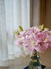 拉菲重瓣百合【和你相遇，本身就很浪漫了】简小姐精选粉色 奶白色带小雀斑重瓣百合 拉菲 2件顺丰冷链包邮 下单5天发出 商品缩略图2