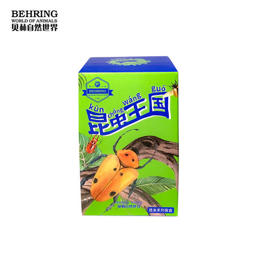 贝林自然世界盲盒系列昆虫王国盲盒 商品图1