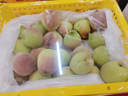 鹰嘴桃一箱（拼团） 商品图0