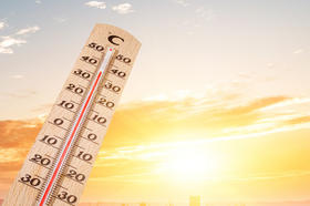 三伏天最佳的补阳气方法！