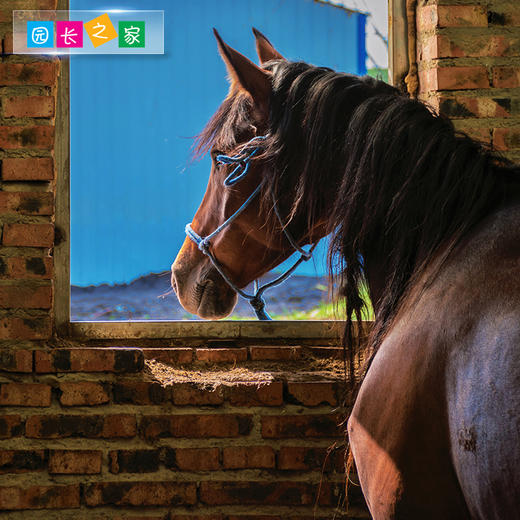 博苑研学游学【内蒙古锡林浩特】七天六夜 商品图1