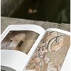 《海外克孜尔石窟壁画复原影像集》，16开平装，赵莉主编，上海书画出版社2018年一版一印，180页，定价198元，售价：158元 商品缩略图8