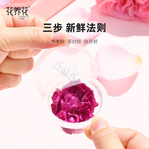 【爆款推荐！】国风水墨画版冻干单朵鲜花茶 商品图1