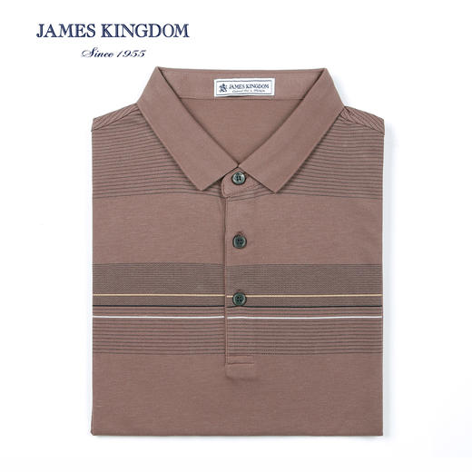 占姆士男士商务休闲翻领短袖POLO衫  一款三色  灰兰&绿色&粉红 商品图2