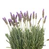 配花 ｜ 薰衣草 商品缩略图5