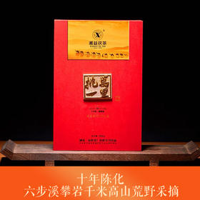 安化黑茶 | 湘益 【2023臻藏版】万里挑一900g