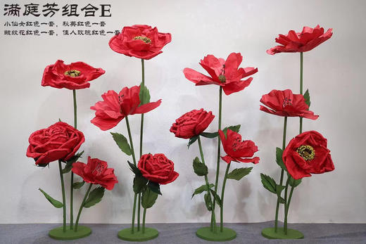 满庭芳组合（运费自理） 商品图4