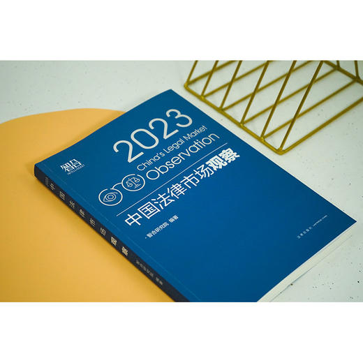 中国法律市场观察（2023）  智合研究院编著 商品图3