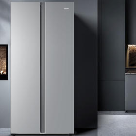 海尔（Haier）冰箱 BCD-481WGHSSEDS9U1