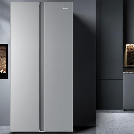 海尔（Haier）冰箱 BCD-481WGHSSEDS9U1 商品图0