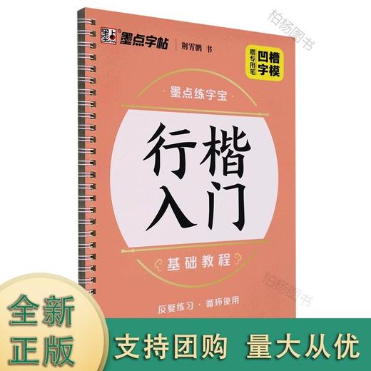 行楷入门基础教程(行楷)/墨点练字宝 商品图0