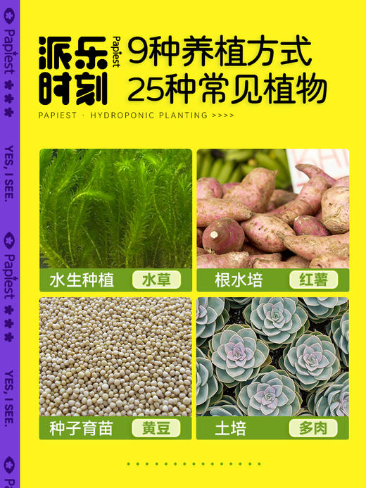 【广博】派乐时刻水培植物种植观察盒窗儿童阳光房学生科学小实验套装种子发芽生物实验设备箱学习用具用品礼盒套装 商品图3