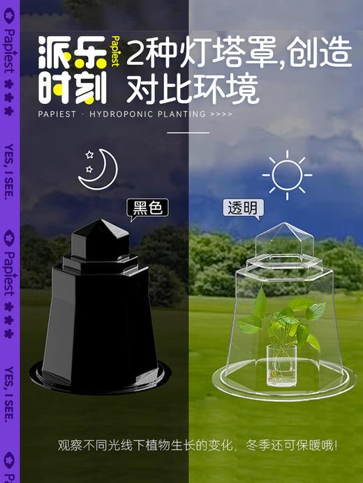 【广博】派乐时刻水培植物种植观察盒窗儿童阳光房学生科学小实验套装种子发芽生物实验设备箱学习用具用品礼盒套装 商品图4