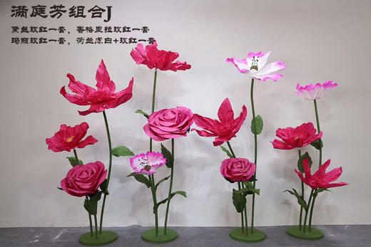 满庭芳组合（运费自理） 商品图9