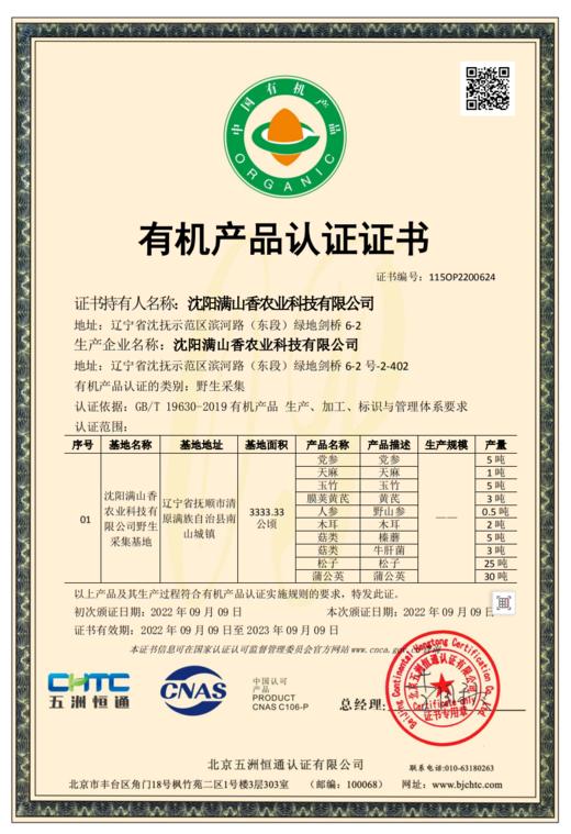 长白山野生松子 松子仁 榛子仁 松子通过有机认证（野生采集认证） 商品图14