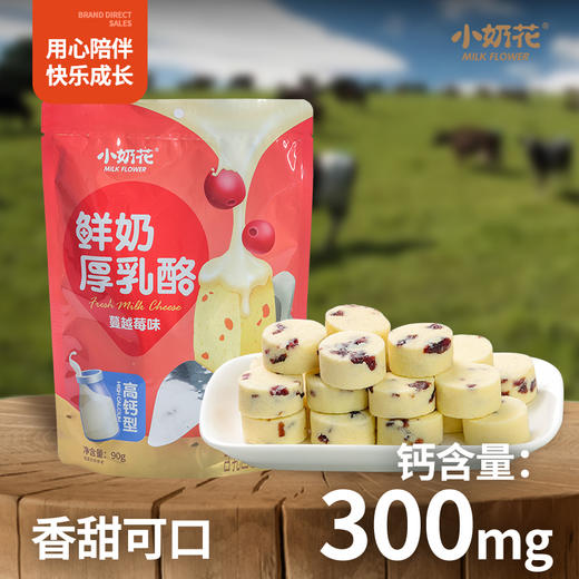 小莉-小奶花鲜奶厚乳酪90g 商品图4