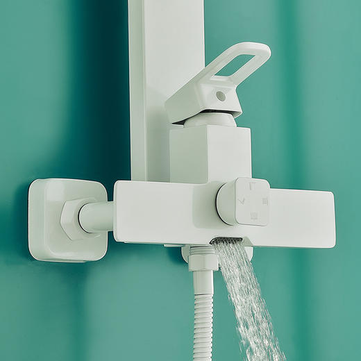 5288白鸽三联腰喷花洒 商品图4