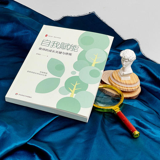 自我赋能 教师的成长关键与修炼 大夏书系 特级教师梁增红 商品图3