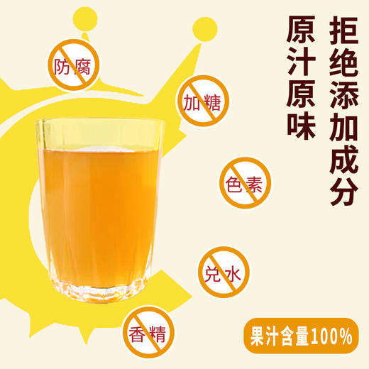 【贵州】刺梨原汁2L 商品图2