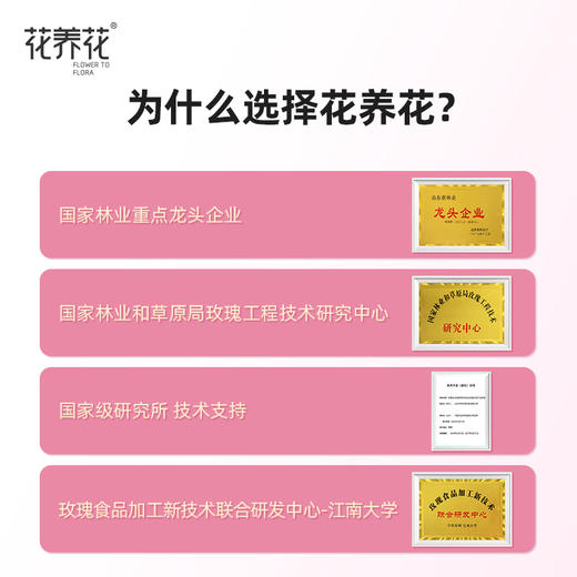 【爆款推荐！】国风水墨画版冻干单朵鲜花茶 商品图2