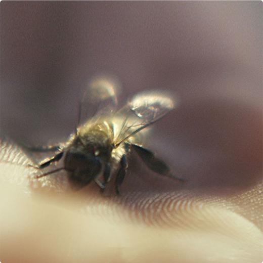 GUERLAIN 娇兰 帝皇蜂姿柔肤净透卸妆油 150ml 商品图2