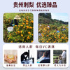 【贵州】刺梨原汁50ml*10瓶 商品缩略图4