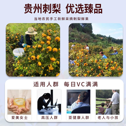 【贵州】刺梨原汁50ml*10瓶 商品图4