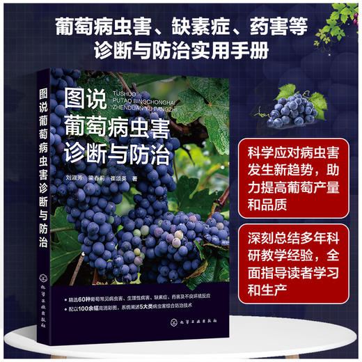 图说葡萄病虫害诊断与防治 商品图0