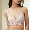 【亲肌棉聚龙杯】桑蚕丝内里舒适透气稳定包容女蕾丝文胸金三塔新品  NZFDC306 商品缩略图2