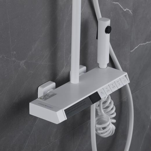 7290飞雨五档腰喷花洒-恒温奶白 商品图1