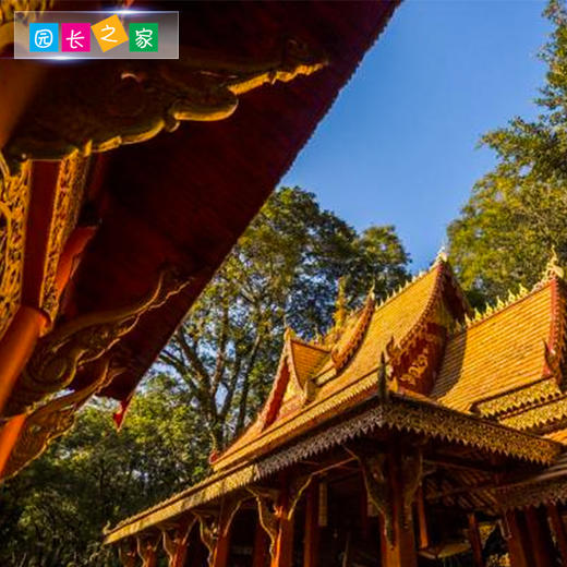 博苑研学游学【云南西双版纳】五天四夜 商品图4