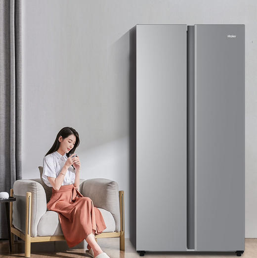 海尔（Haier）冰箱 BCD-481WGHSSEDS9U1 商品图3