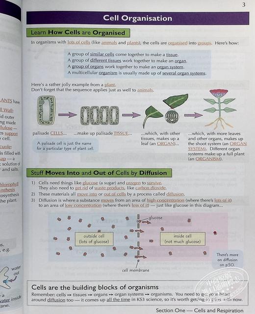 预售 CGP KS3 Complete Revision & Practice Higher KS3中学高级课程练习2册 科学+数学 11-13岁 商品图4