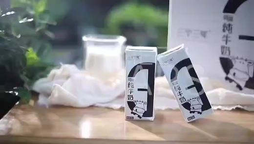 【下单7天内发货】三个三年自由牧场新疆纯牛奶整箱200mlX12盒无添加新鲜奶全国包邮 商品图1