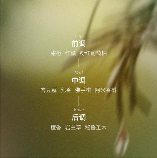 冥想复配精油香薰精油嗅觉引导平静脑波 商品图2