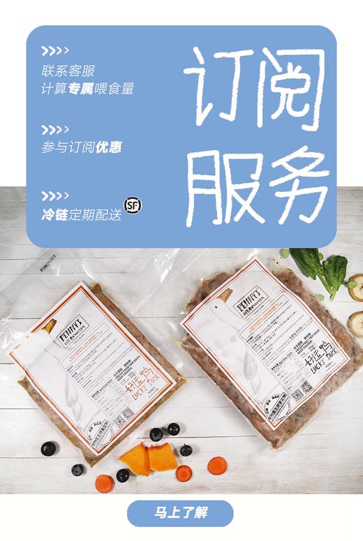 班尼食物研究所 鸭肉/鸡羊肉/牛肉三文鱼 无谷 75g 狗狗鲜粮 商品图4