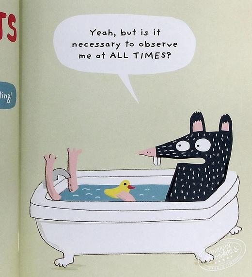 【中商原版】The Disgusting Critters 渣渣的昆虫系列 儿童绘本10册套装 Elise Gravel 小动物生物知识科普 英文原版 6-9岁 商品图7