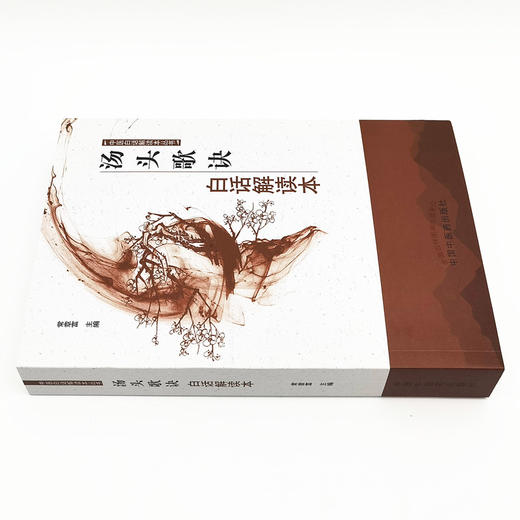 汤头歌诀白话解读本【常章富 主编 】中医白话解读本丛书 商品图5
