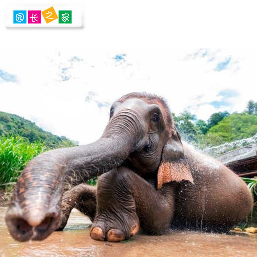 博苑研学游学【云南西双版纳】五天四夜 商品图2