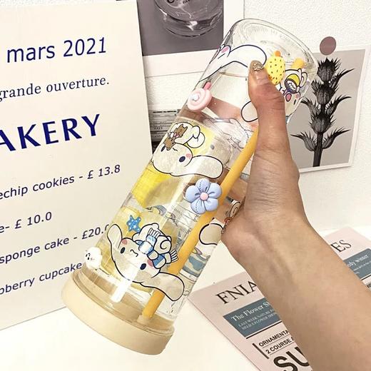 「四款可选！独立茶仓」小红书同款杯子ins风颜值韩版吸管杯学生简约防摔塑料随手杯便携餐饮用具 商品图2