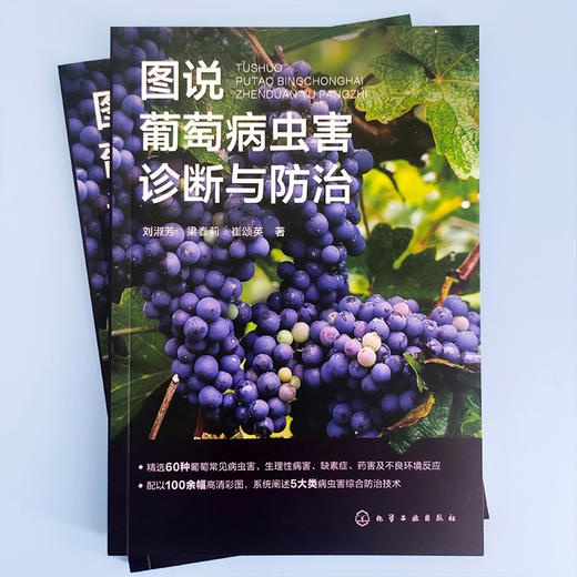 图说葡萄病虫害诊断与防治 商品图2