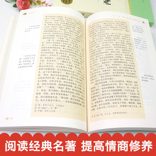 初中必读名著十二本 初中生中考必读12本全套人教版老师推荐七八九年级上下册课外阅读书籍 商品图4