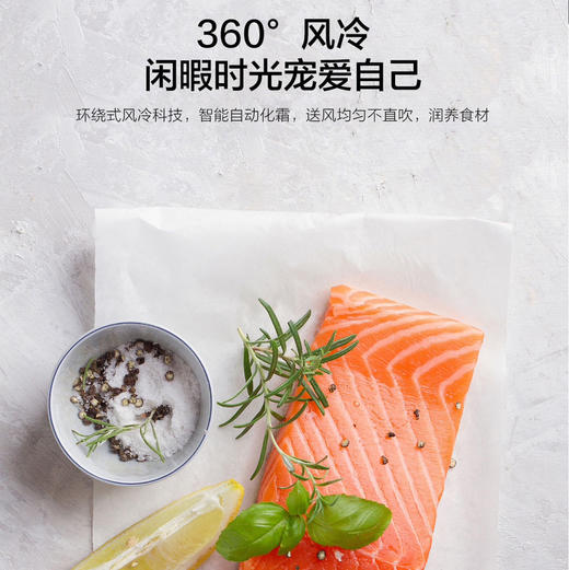 海尔（Haier）冰箱 BCD-481WGHSSEDS9U1 商品图1