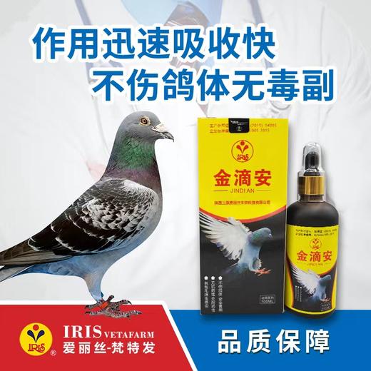 【爱丽丝】金滴安100毫升 商品图0