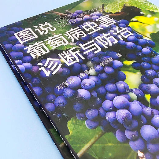 图说葡萄病虫害诊断与防治 商品图1